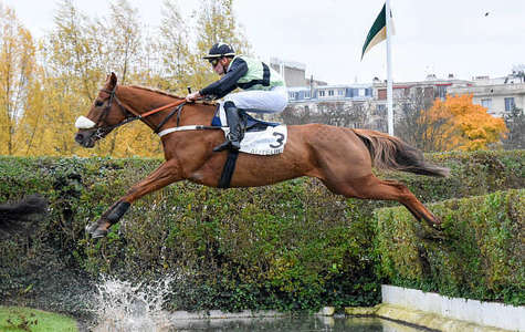 Actualités Hippiques